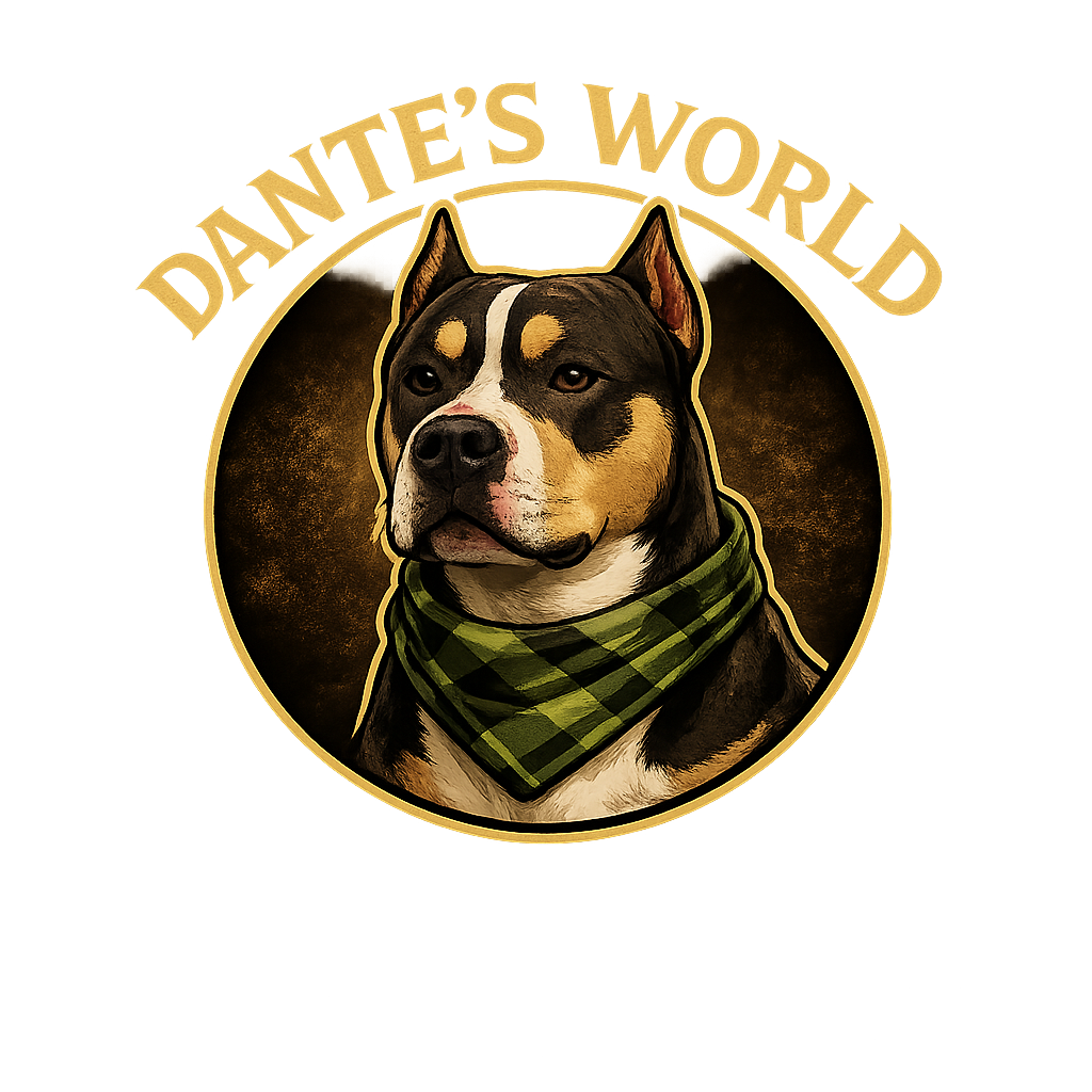 Dante's World